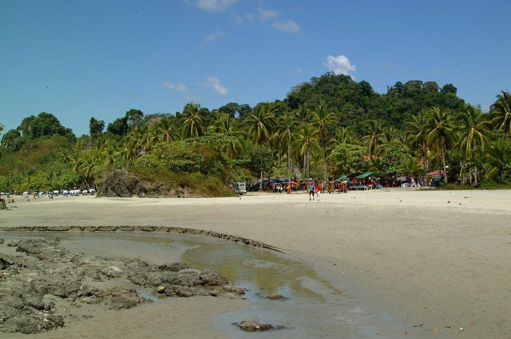 Hotel Coco Beach Manuel Antonio Exteriér fotografie