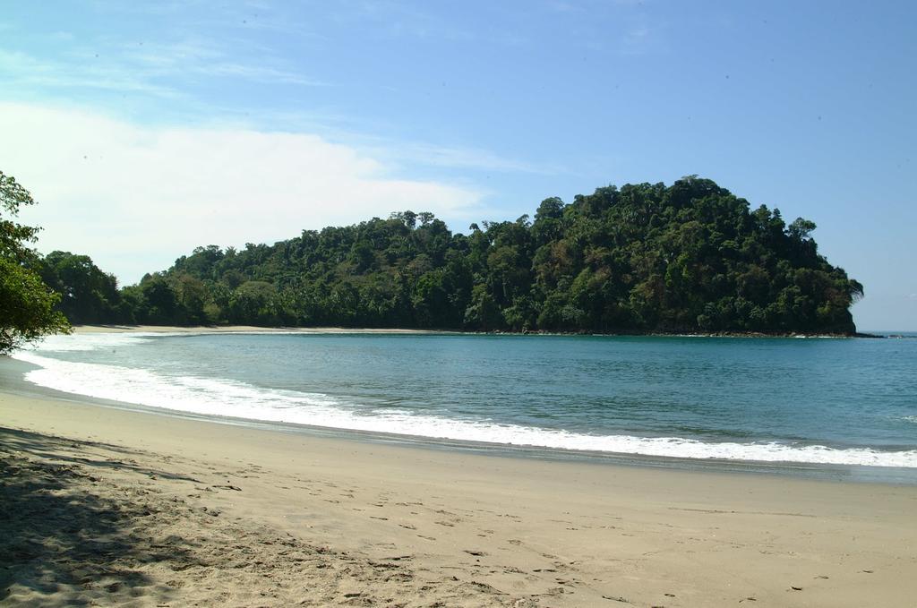 Hotel Coco Beach Manuel Antonio Exteriér fotografie